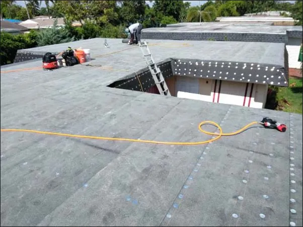 Slide of Sealy Trinbago