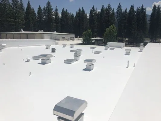 Seamless Roofing