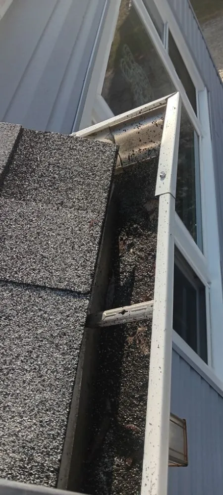 Slide of Seamless Solution 1