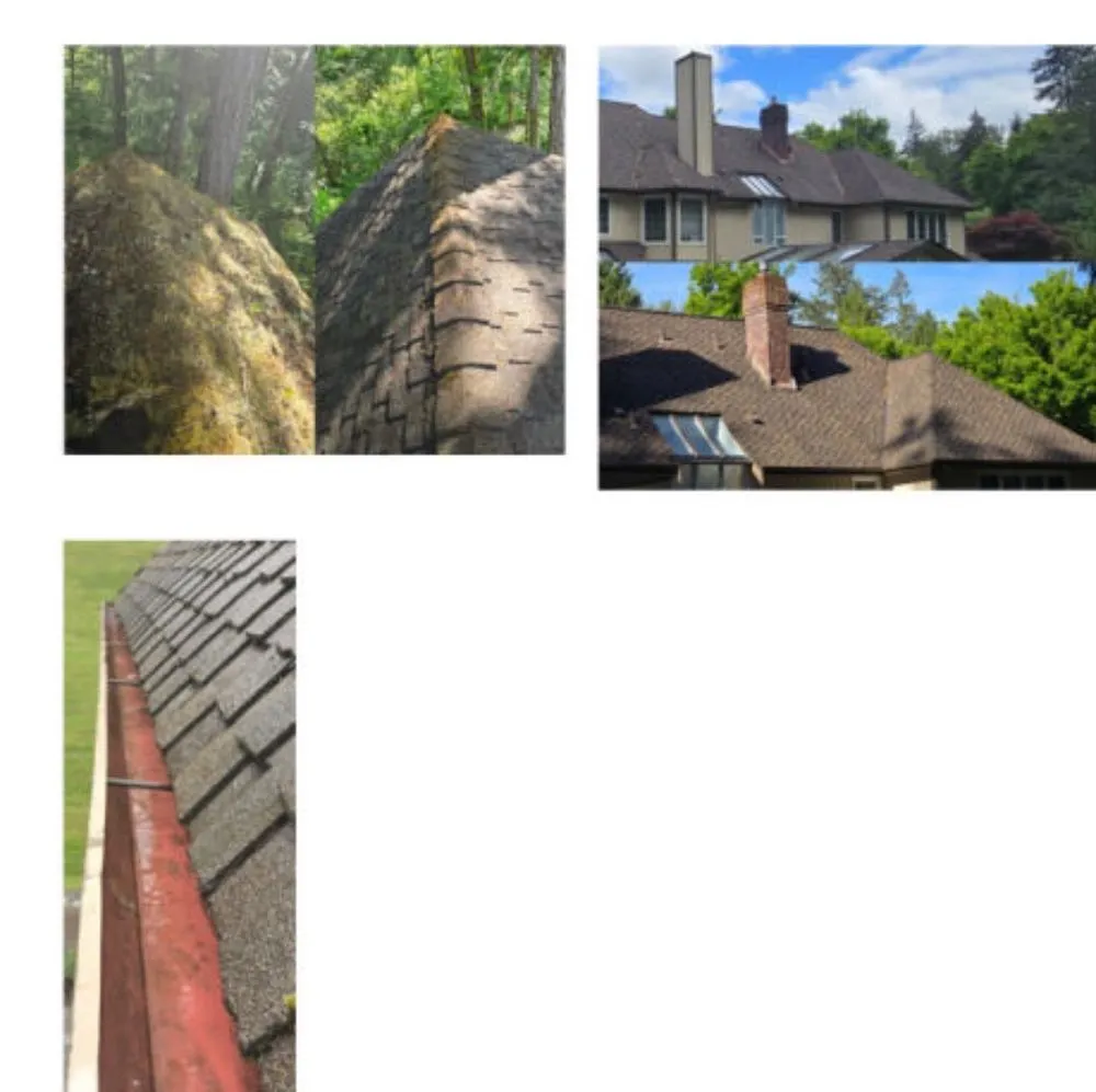 Slide of Seatown Pro Wash