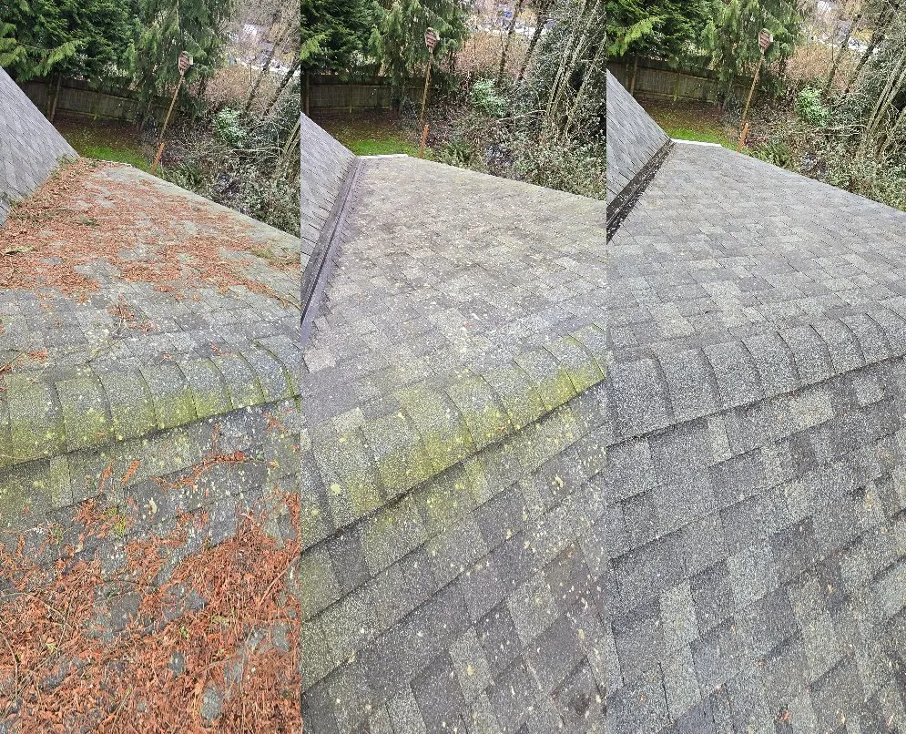 Slide of Seatown Pro Wash