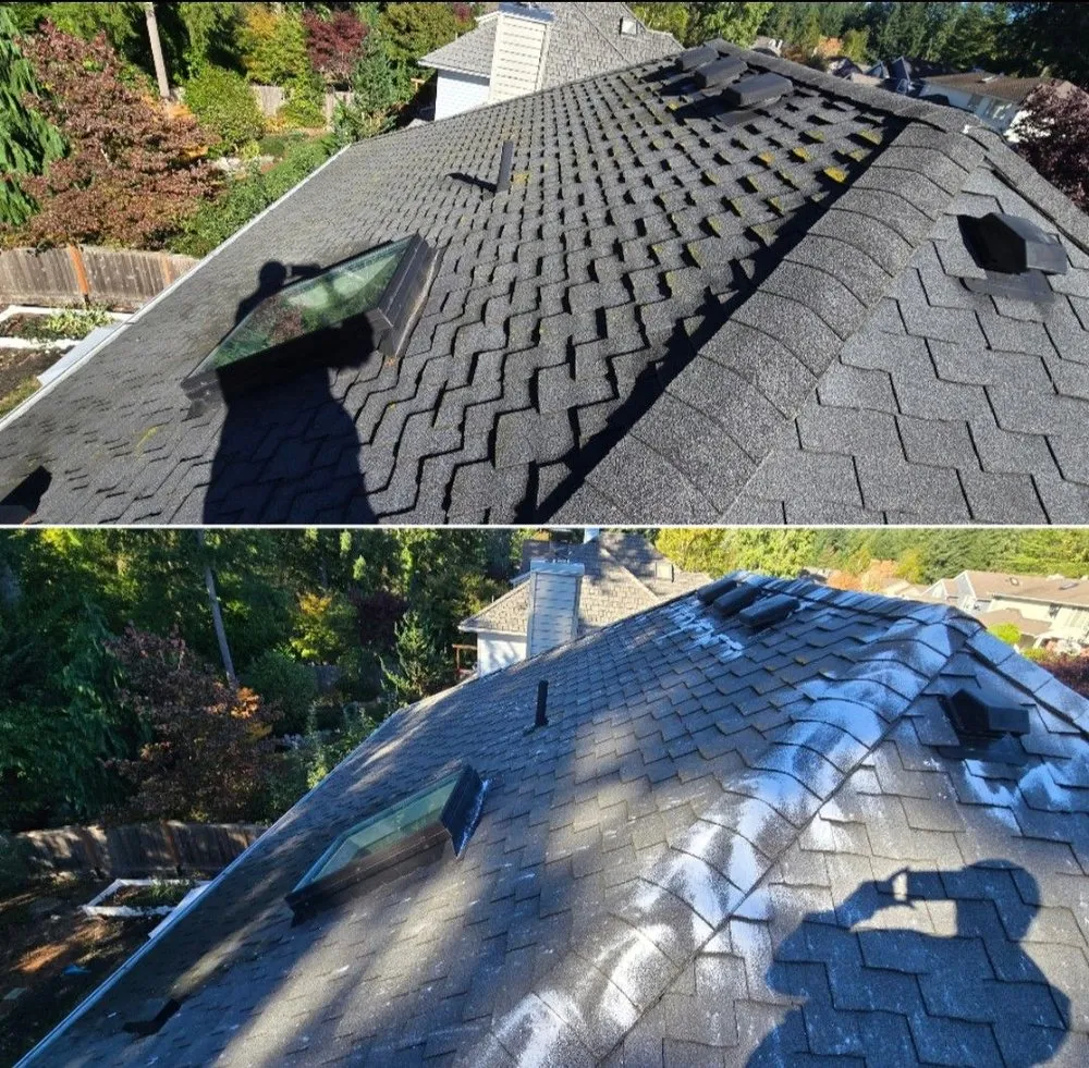 Slide of Seatown Pro Wash