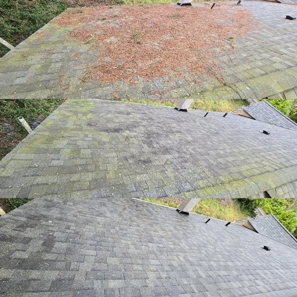 Slide of Seatown Pro Wash