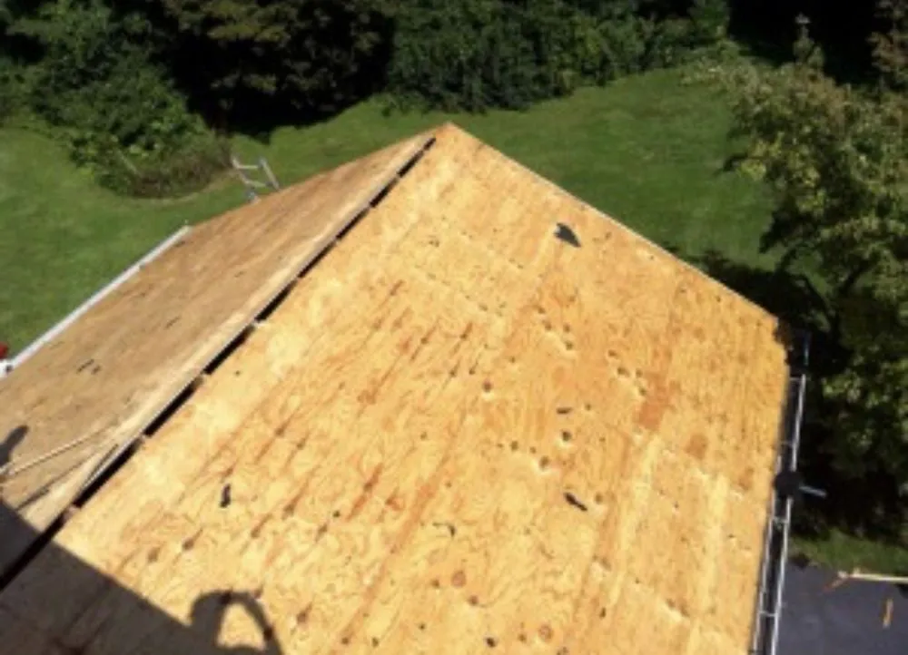 Slide of Seattle Pros