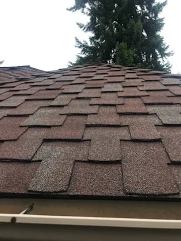 Slide of Seattle Tacoma Roofing