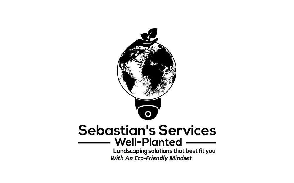 Licensed flat roof repair experts serving Valley Grove, WV - Sebastian's Services Well-Planted