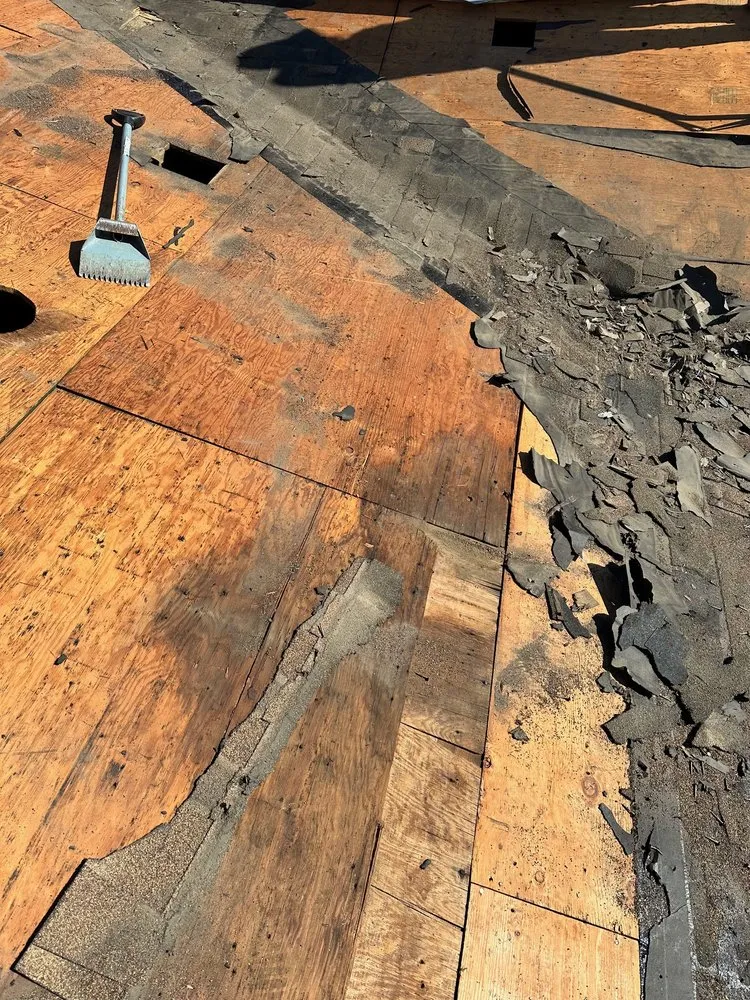 Slide of Second Opinion Construction