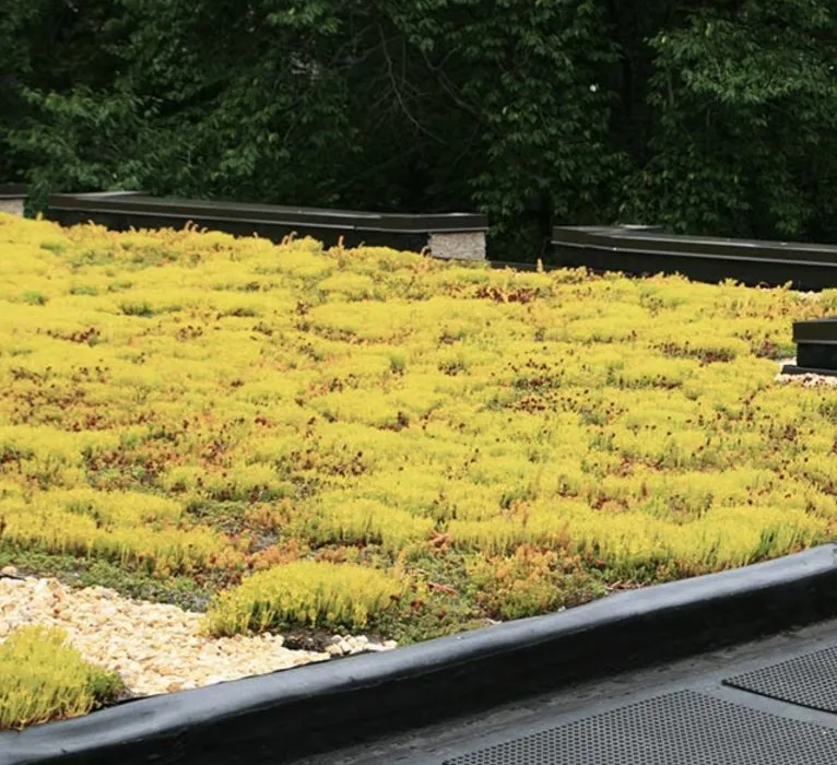 Slide of Secure Roofing