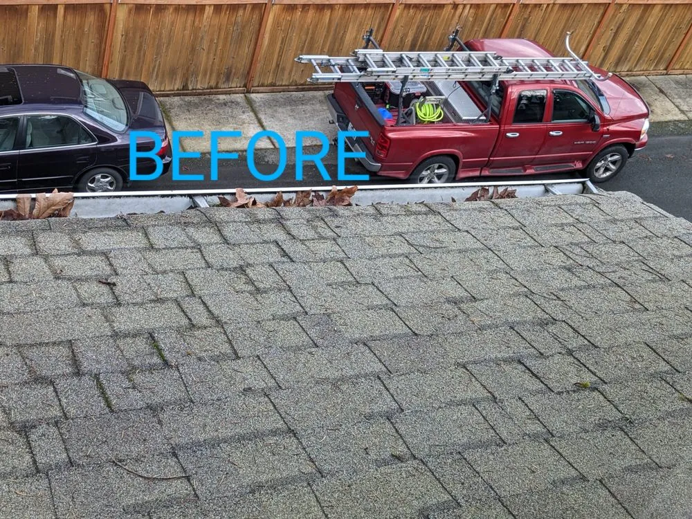 Slide of Segard Services