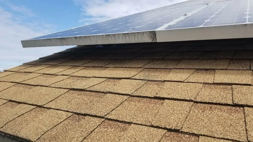 Slide of Segard Services