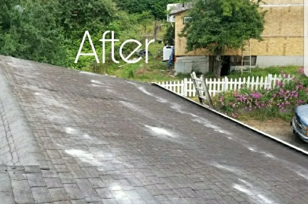 Slide of Segard Services