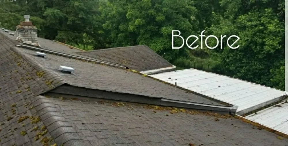 Slide of Segard Services