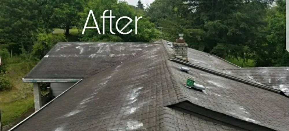 Slide of Segard Services