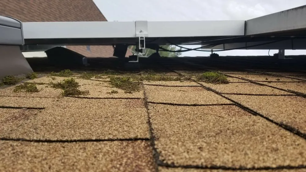 Slide of Segard Services