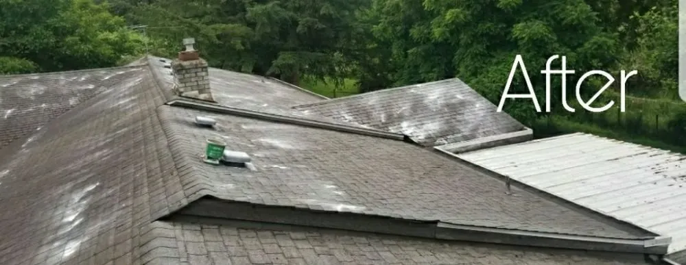 Slide of Segard Services