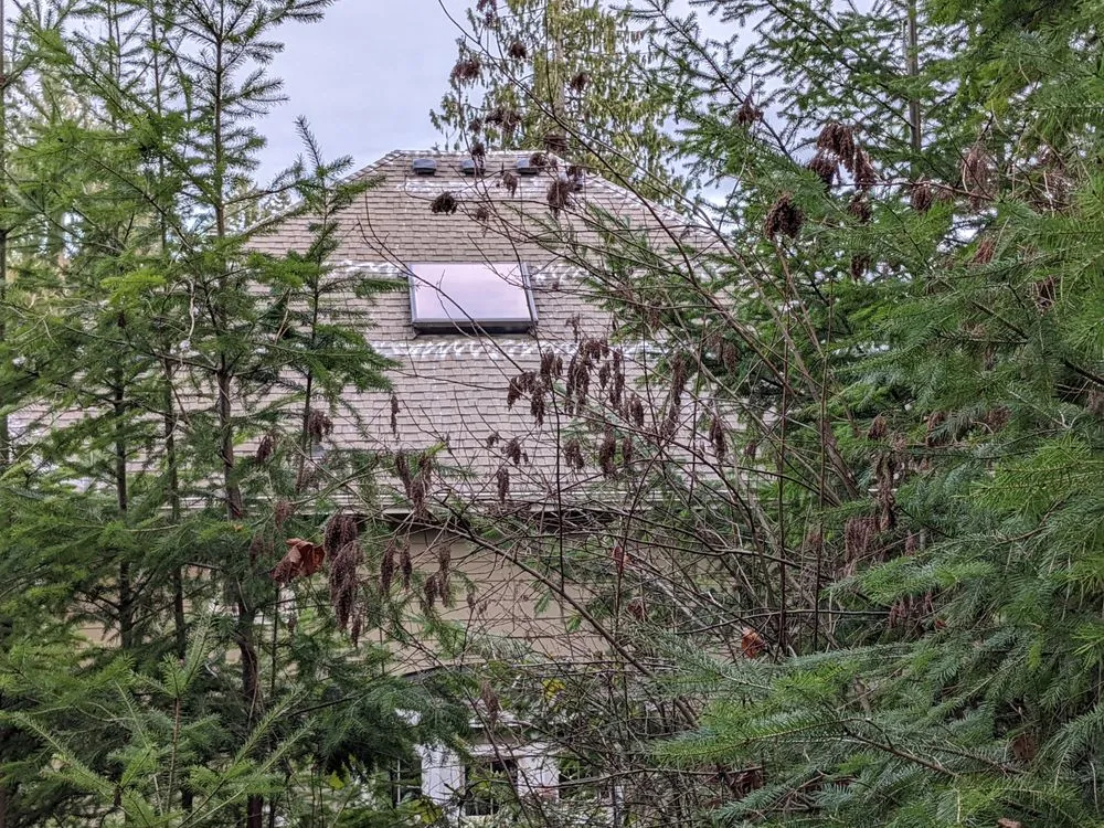 Slide of Segard Services