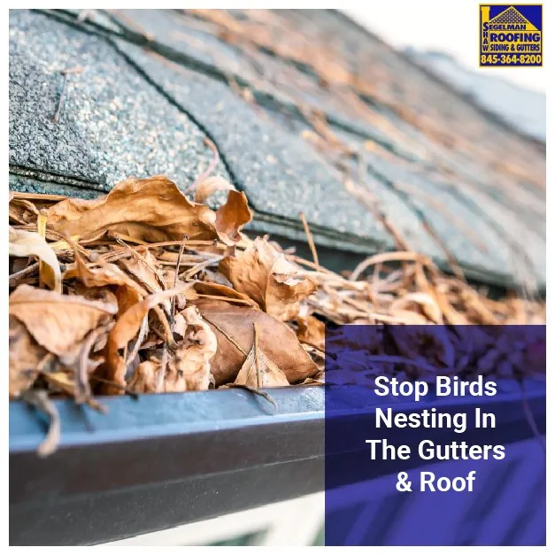 Slide of Segelman Shaw Roofing Siding & Gutters