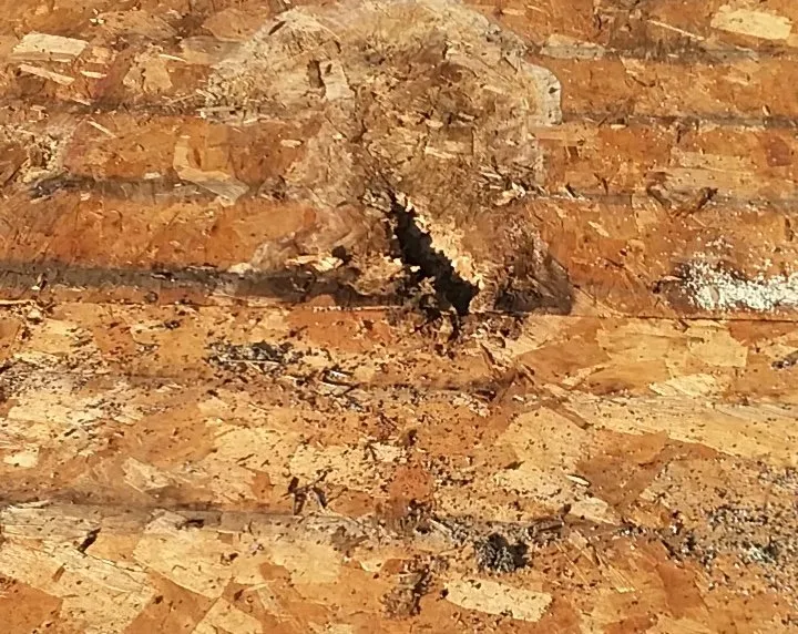 Slide of Sejay Construction