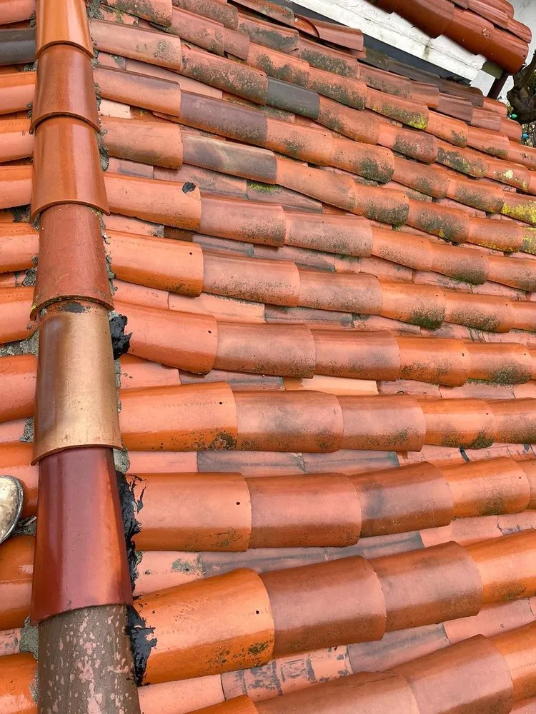 Slide of Selim’s Handyman