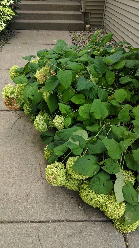 Slide of Sellers Roofing Company - Carver