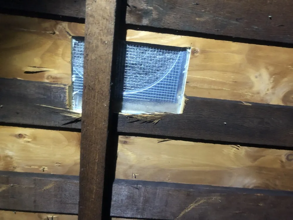 Slide of Semper Solaris