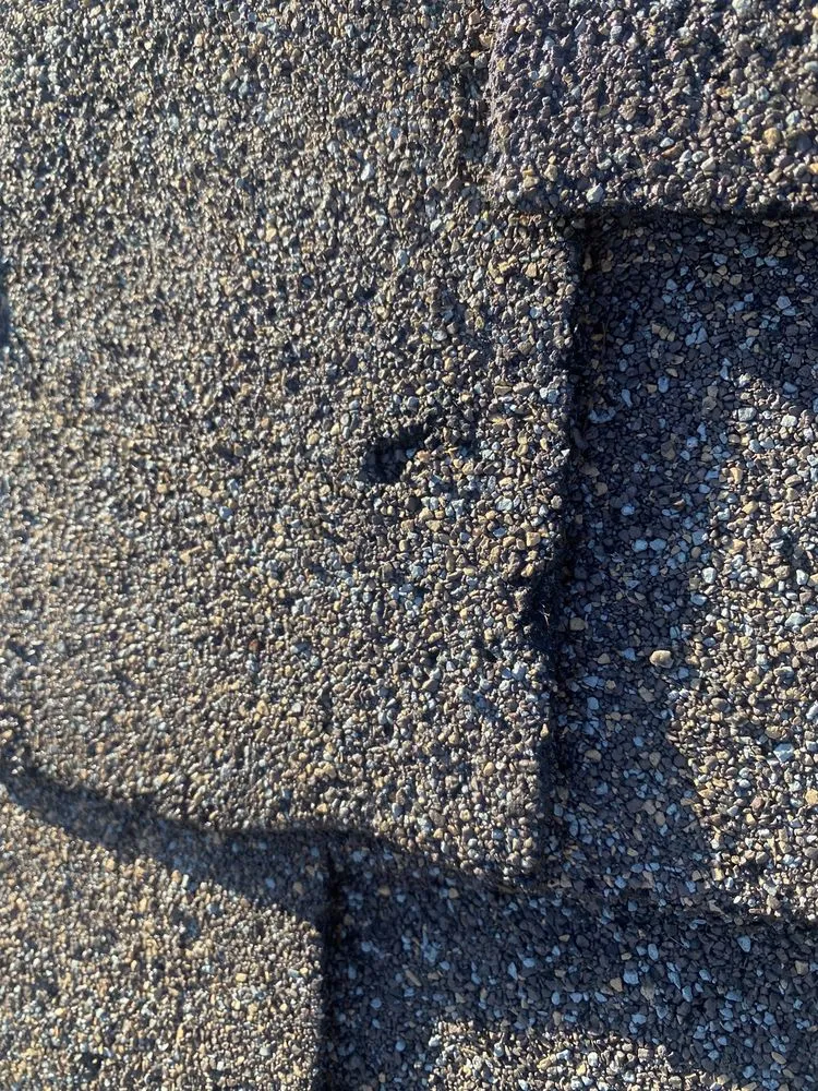 Slide of Semper Solaris