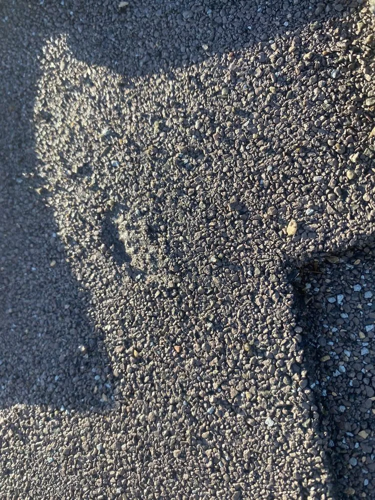 Slide of Semper Solaris