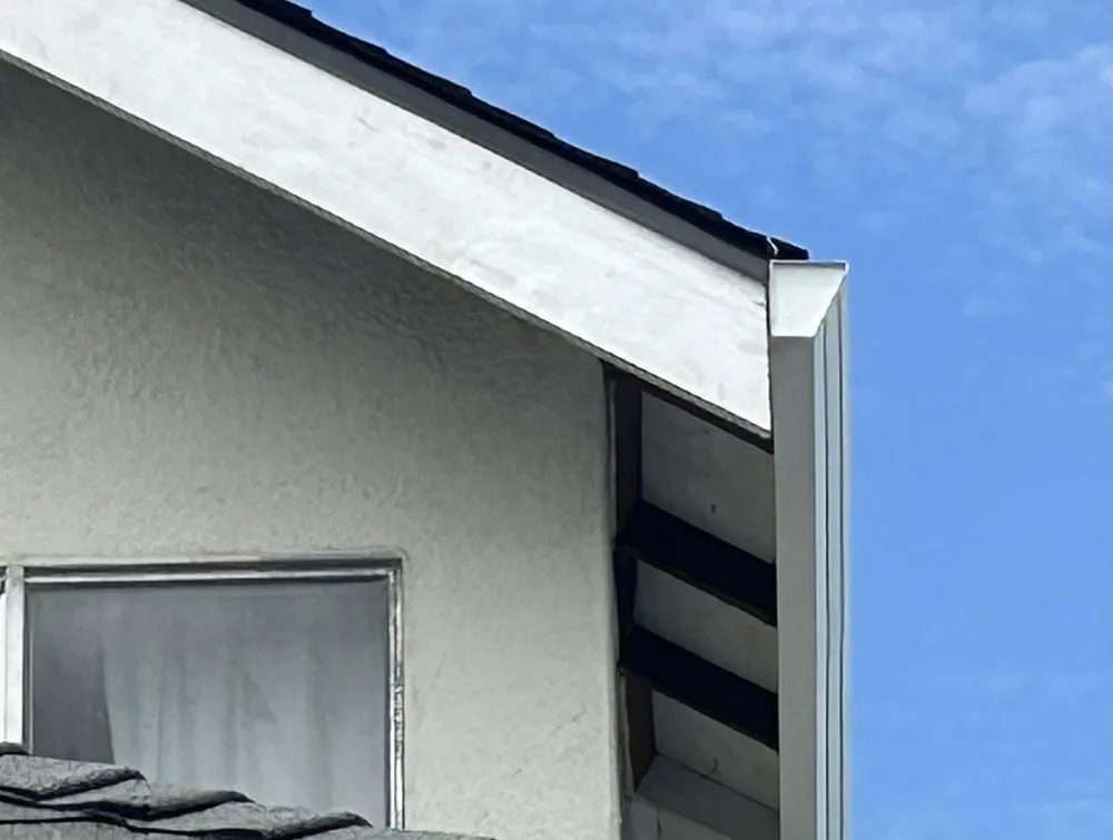 Slide of Semper Solaris