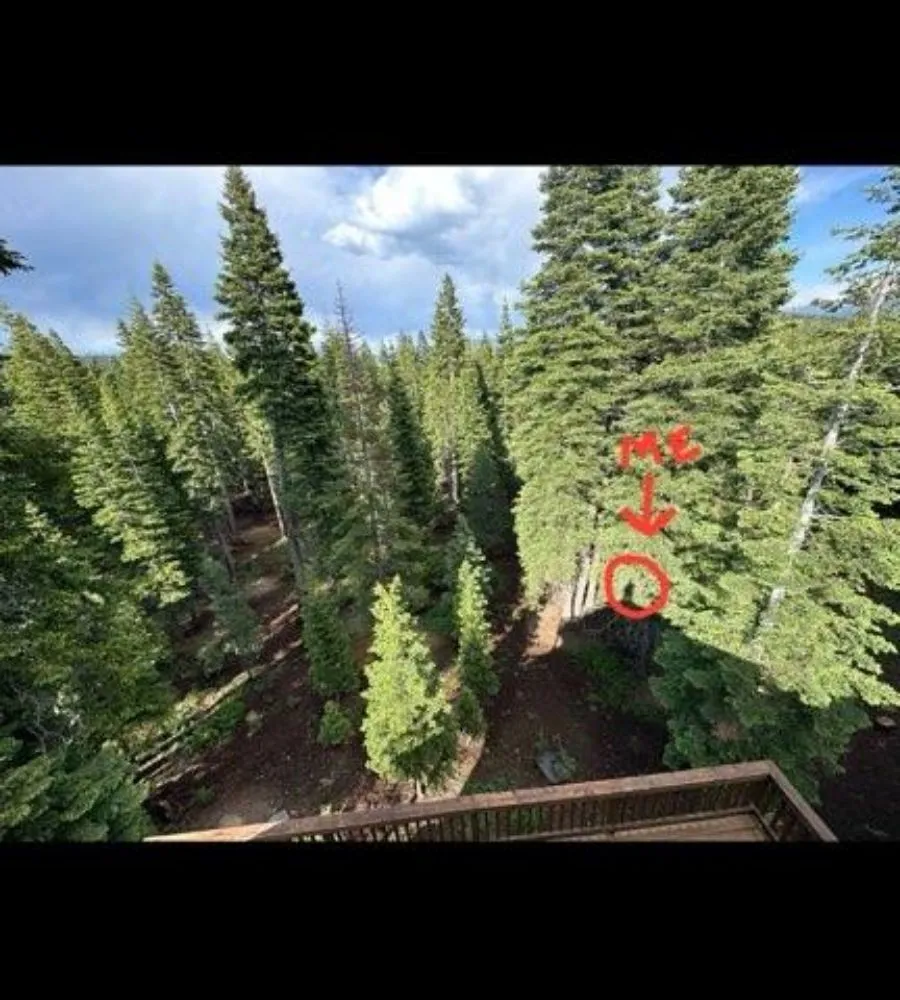 Slide of Sendit Roof Repair