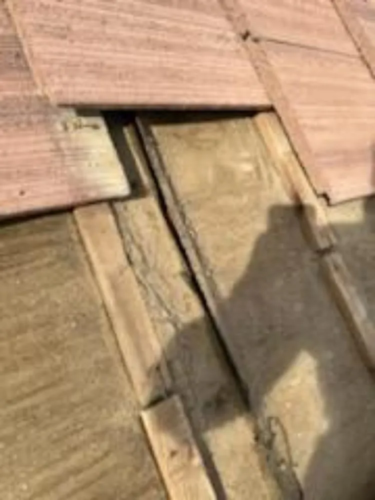 Slide of Sendit Roof Repair