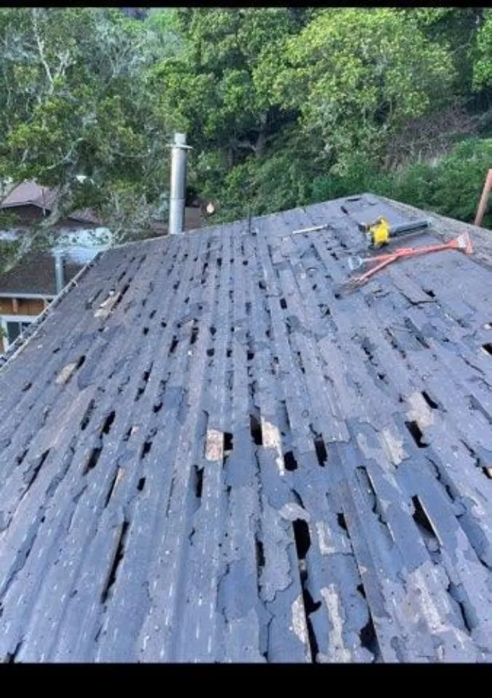 Slide of Sendit Roof Repair