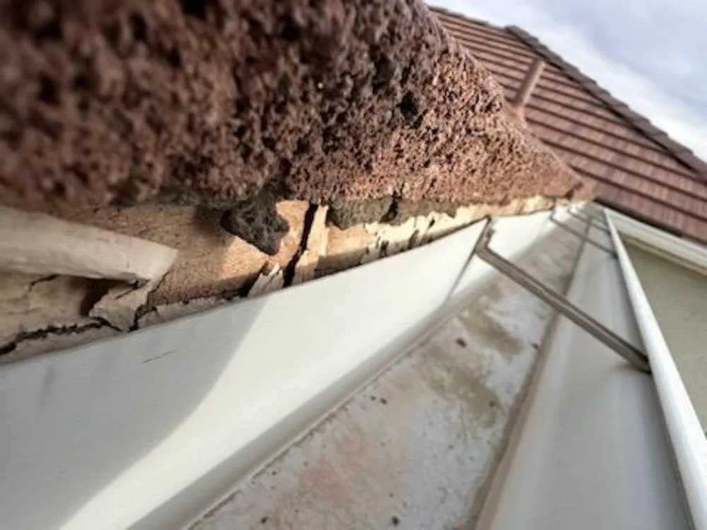 Slide of Sendit Roof Repair