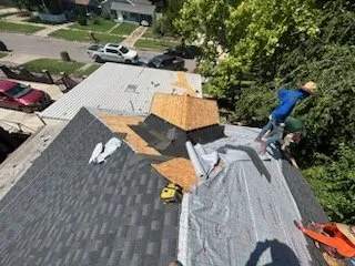 Slide of Senor Roofs