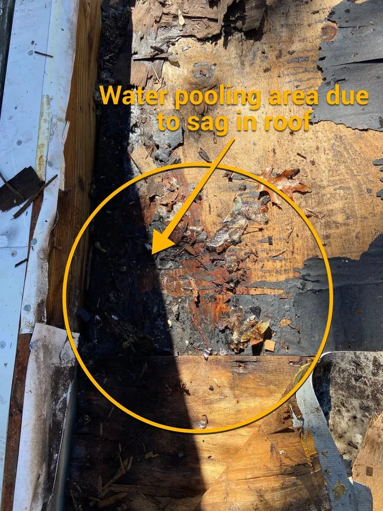 Slide of Sensible Home Solutions