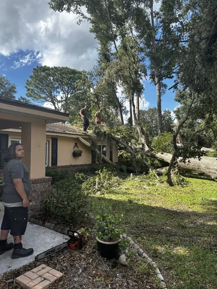 Slide of Sentinel Roofing