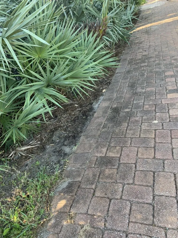 Slide of Serpa & Son’s Pressure Washing