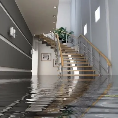 Slide of SES Renovations