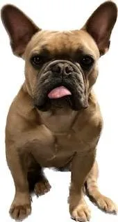 Slide of Seth Horn Construction