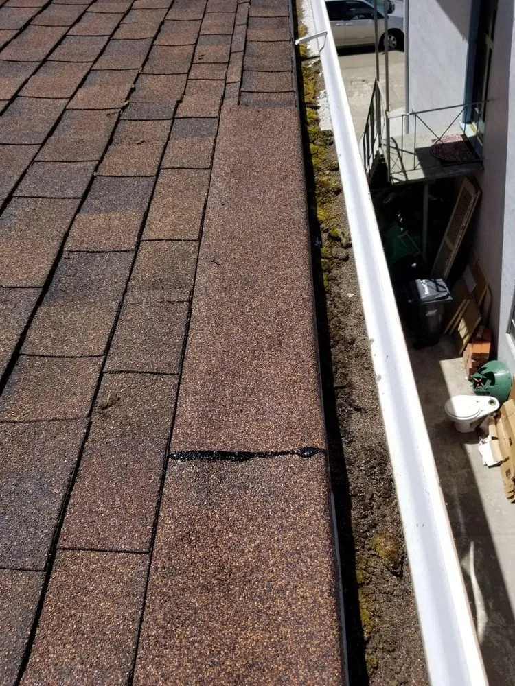Slide of SF Roof Repair