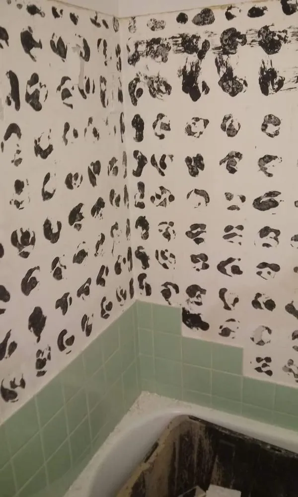 Slide of SG Construction