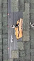 Slide of Shaddai Roofing