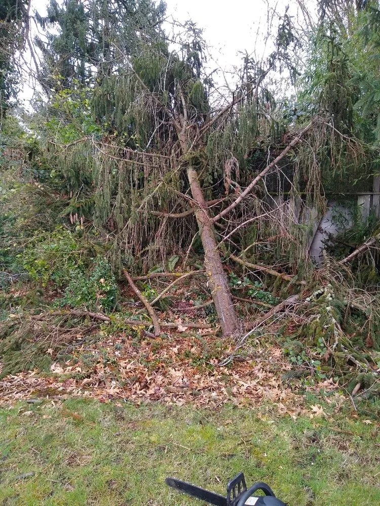 Slide of Shades of Green Handyman Services