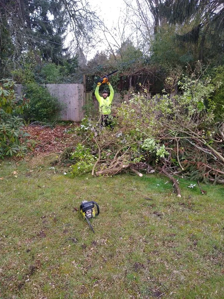 Slide of Shades of Green Handyman Services