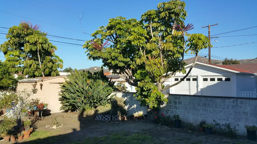 Slide of Shadow Roofing