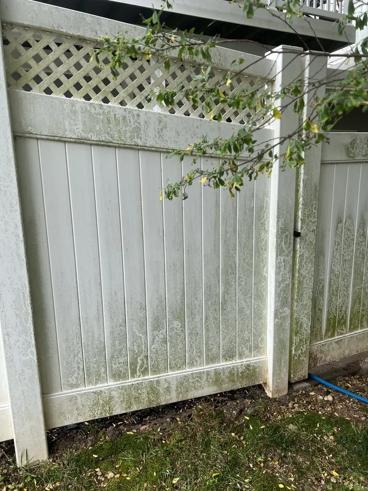 Slide of Shadra Services