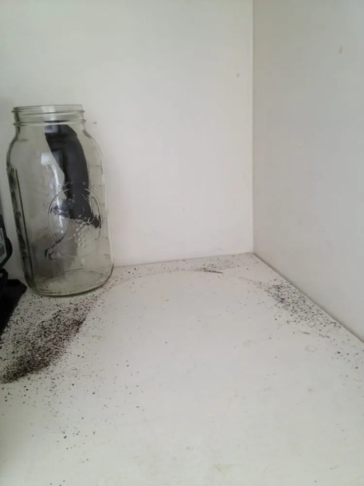 Slide of Shake Shingle & Roll Roofing