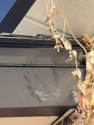 Shamrock Roofing and Construction - Lake Saint Louis