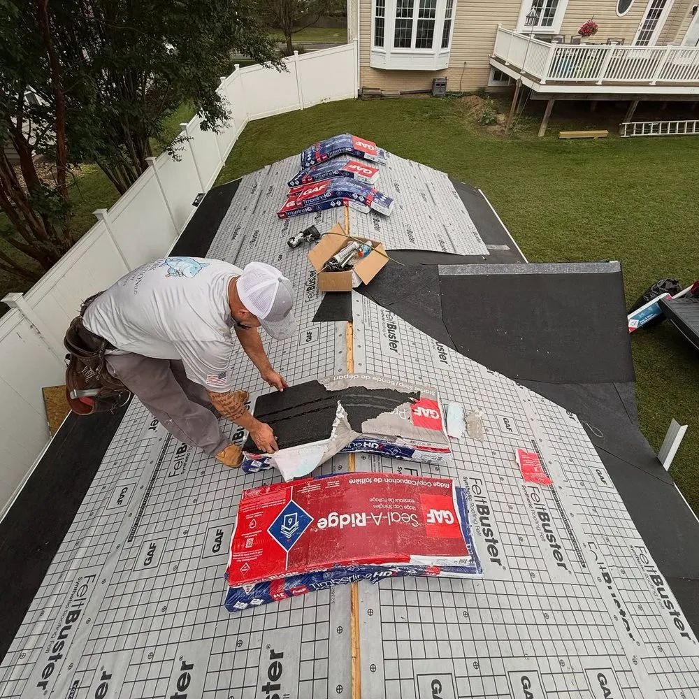 Slide of Shark Construction