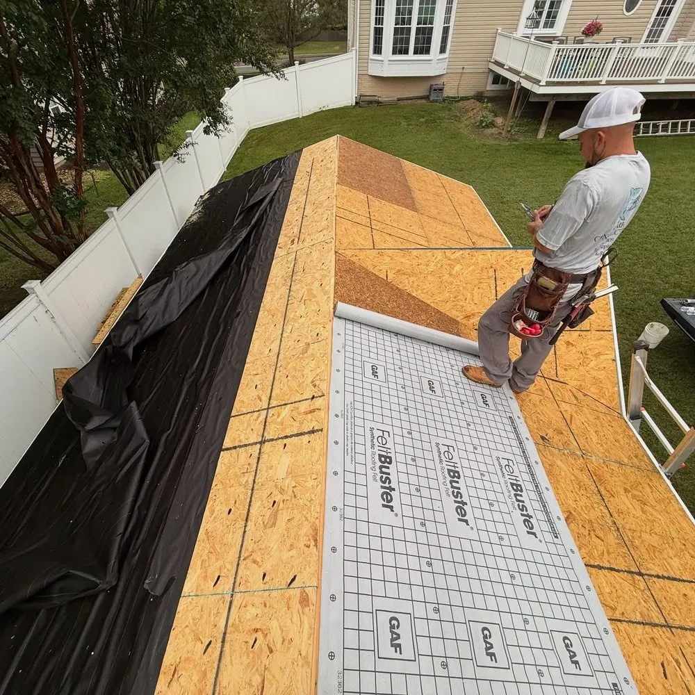 Slide of Shark Construction