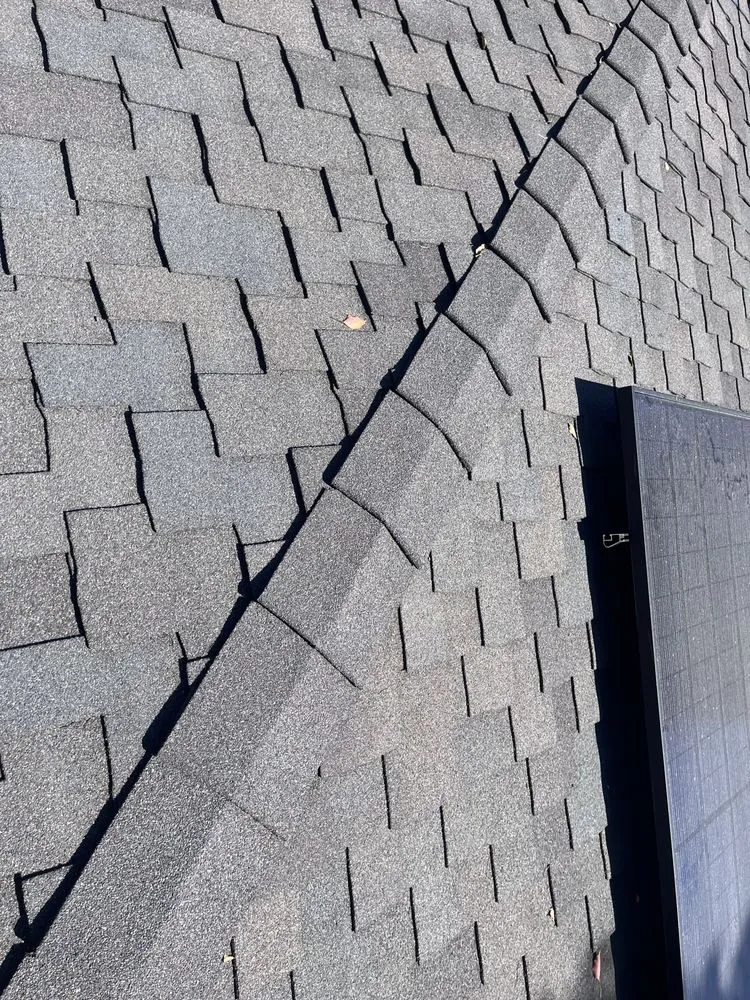 Slide of Sharks roofing